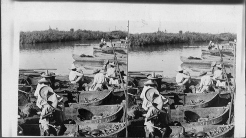 Market Boats at Tampico, Mexico