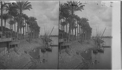 A View down the nile River from the West End of Bridge, Cairo