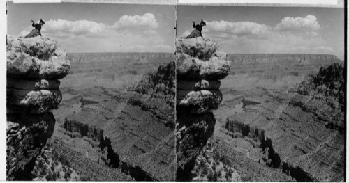 Fathoming the depth of a vanishing sea. Grand Canyon from Hance's Cave. Arizona