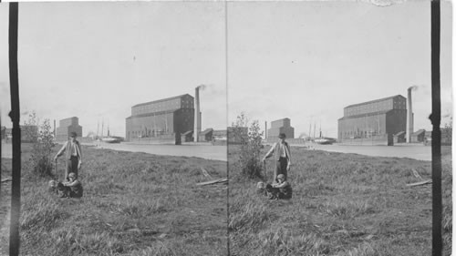 Grain Elevator. Fort William Lake Superior one outlet for Manitoba wheat, Ontario, Canada