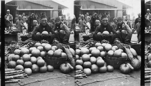 The Pomelo Seller, Darjeeling, India