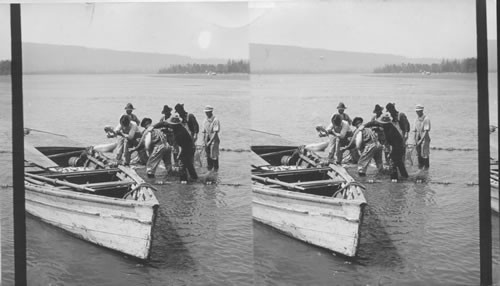 Dragging in the nets. Columbia River, Oregon