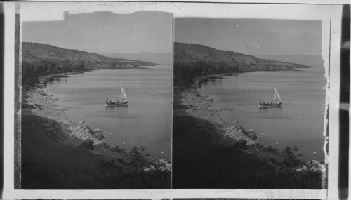 Looking S. E. along the Eastern Shore of the Sea of Galilee, Palestine