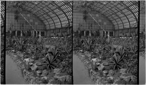 The New Cactus Rooms at the Garfield Park Conservatory, Chicago, Ill