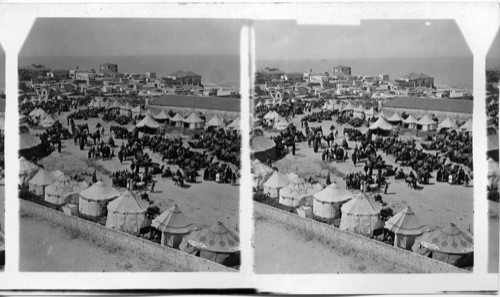 A Persian Camp of Pilgrims - Jaffa. Palestine