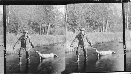 An Easy Carry - Towing the Deer to Camp, Maine