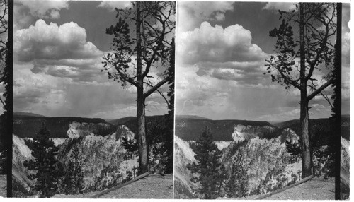 Yellowstone Canyon, Wyo