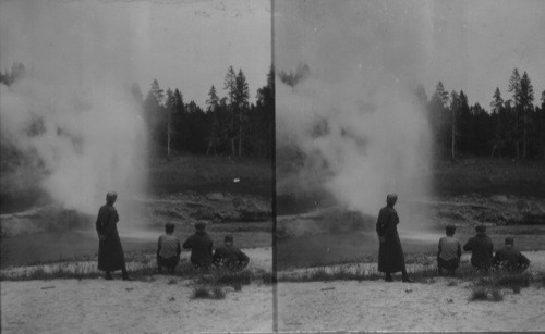 Riverside Geyser, Upper Geyser Basin