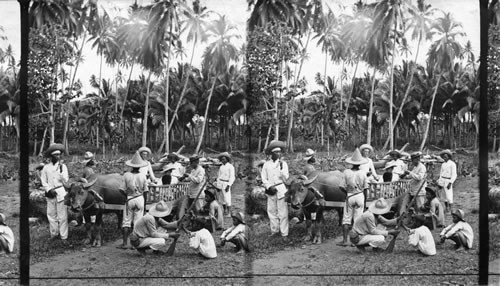 Philippines? Native & American Soldiers