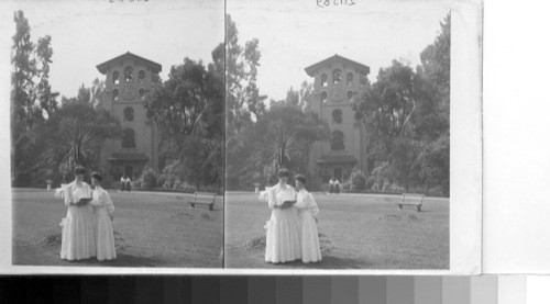 "El Companile" The beautiful bell tower on campus of Mills College, Oakland