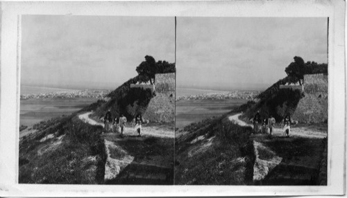 Distant view of Haifa Looking N. from the northwest. Palestine