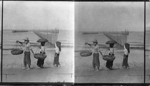 Fish Trap, Philippines