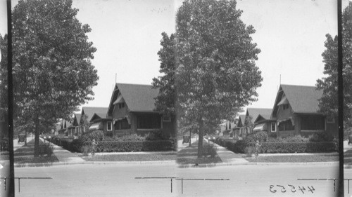 Houses Surrounding John Hay Public Schools, Chicago, Ill