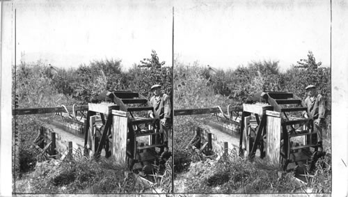 Water Wheel and Irrigation Ditch on a Great Fruit Farm in Washington