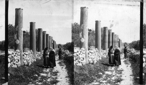 The Great Colonnade of Samaria, Palestine