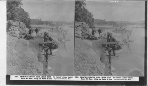 Inscribed in recto: 17,012. IRRIGATING ELEPHANTINE ISLAND, ASSUAN, EGYPT. The ‘Sakiyeh’ (Endless Buckets) Raising Nile Water, Driving Gear Worked by Oxen. Copyright 1912 by Geo. Rose