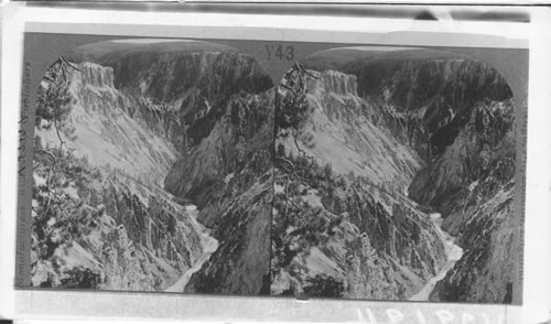 From Pt. Lookout N. down canyon to river, 1,200 feet below, Yellowstone National Park, Wyo