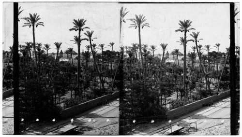 Birds eye view of Old Cairo, Egypt