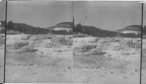 Canary Spring, Yellowstone National Park, Wyoming