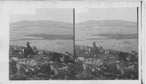 Gideon’s battlefield and Hill of Moreh, north from Zereel. Palestine