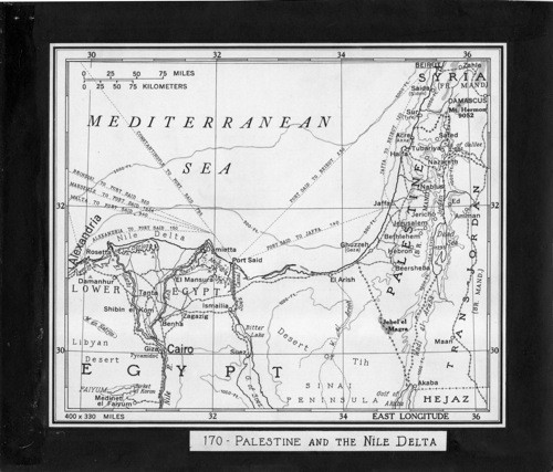 Palestine and the Nile Delta