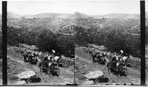 On road from Bethel to Shechem. Palestine