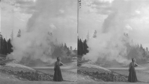 Riverside Geyser in Eruption, Upper Geyser Basin, Yellowstone National Park, Wyo