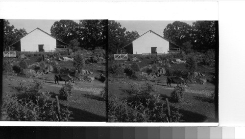 Near Newport, N. C.: A mountain farm in the eastern foothills of the Great Smokies. Sawders 1949