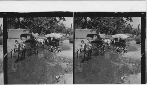 294 Gadis being washed in Kabul. Gadees. The cart in the foreground look like a tonga, in the background a gadees woman apparently washing clothes