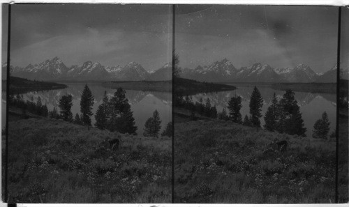 Grand Teton across foot of Jackson Lake, Wyoming