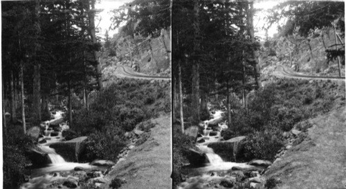 The Silver Brook winding its way among the rocks and pines. Looking up the Cog road from half way house, Colorado. Pike's Peak?