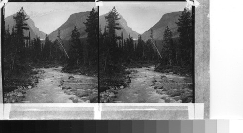 Mountain Stream on the Slopes of Mt. Stuam near Laggan, Alberta