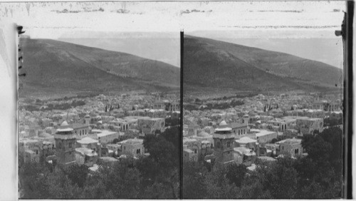 Shechem, where the Hebrew empire was divided - east past Mount Ebal, Palestine