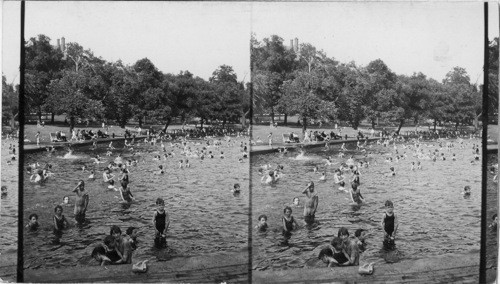 Consolation for the Hot Weather, Frog Pond, Boston Common, on the Hottest Day of the Summer, 104 [degrees]