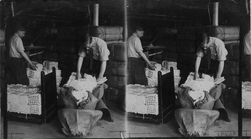 Opening bales of raw silk as it arrives from China and Italy, South Manchester, Conn