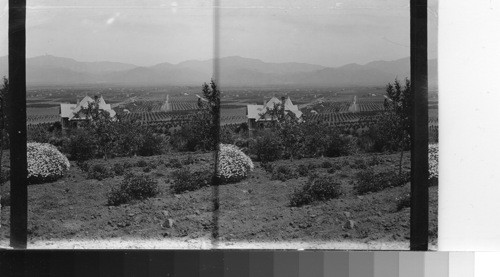 Redlands from Smillie's Paradise on Earth, California