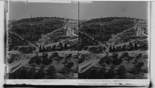 Garden of Gethsemane and Mount of Olives, from the eastern Wall - Jerusalem. Palestine