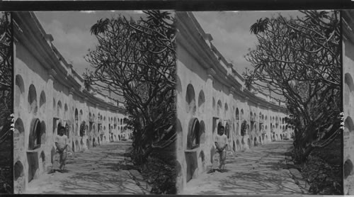 Paco Cemetery - each oval opening in the wall is a tomb, Manila, Philippine Islands