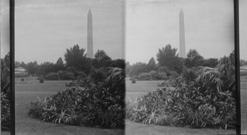 Washington Monument from the Beautiful Grounds of the Agricultural Department Washington, D.C