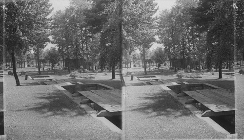 Park at Corry Hatchery. Covers for shade. Trout like to keep cool. Pennsylvania