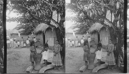 Pounding rice, native life in the interior of the Isthmus. Panama