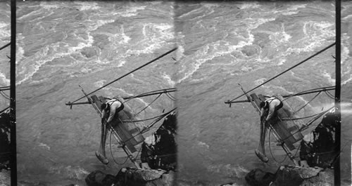 Siwash Indian fishing for salmon - pulling in a 30 lb. fish, B.C. Canada