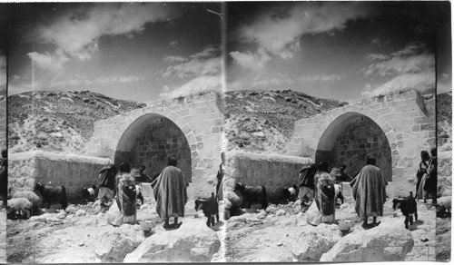 The Apostles Fountain along the Jericho Road, Palestine