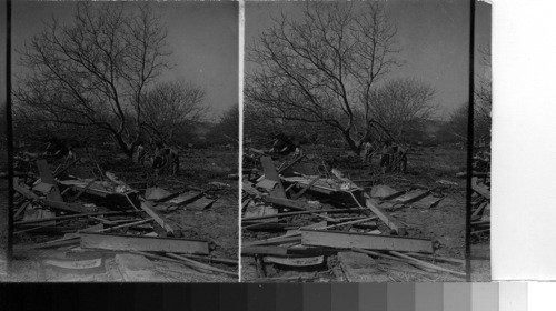 A walnut orchard at a bend in Santa Clara River, completely covered with debris