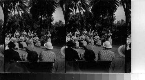 Hula Dancers, Hawaii