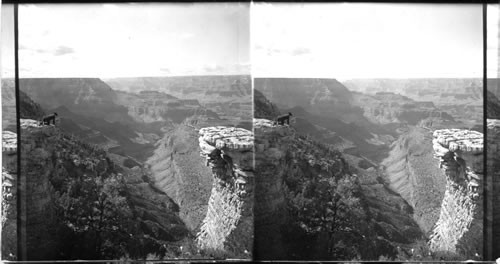 Grand Canyon from Head of Grand View Trail. Ariz