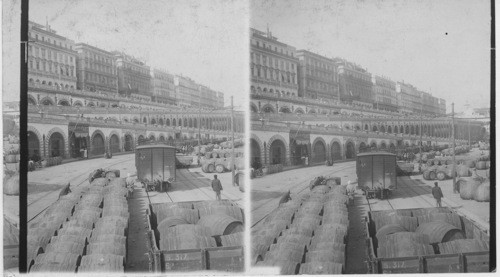 Zig Zag viaduct at Algiers - showing mosque in distance, Algiers