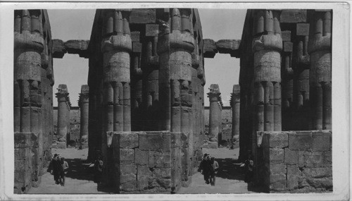 Luxor- Grand Colonnade of the Temple. Egypt