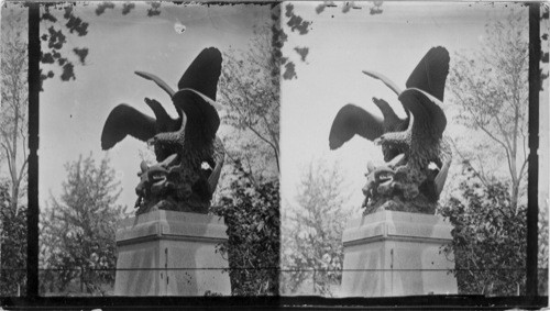 Eagles (Bronze Statue) Central Park, N.Y