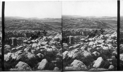 Heshbon, S.W. to Nebo, Palestine